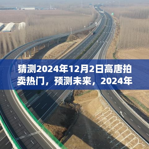 2024年高唐拍卖热门展望，预测未来趋势