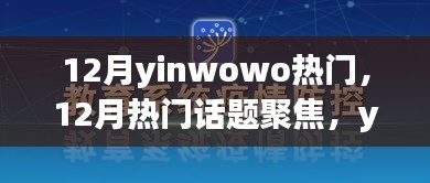 12月热门话题聚焦，yinwowo现象深度解析与个人观点阐述