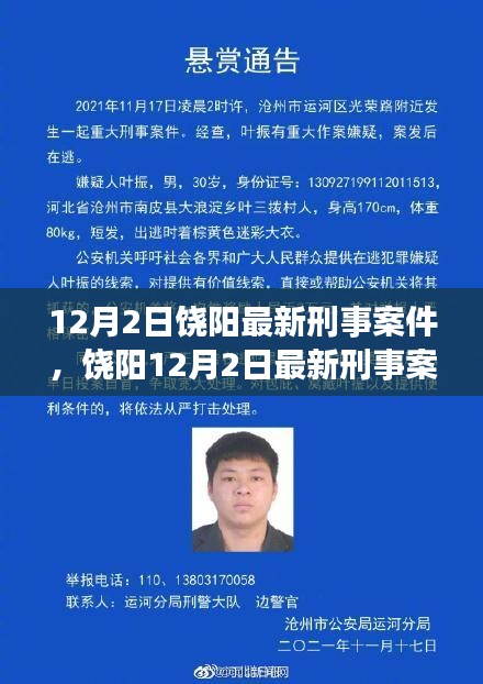 饶阳最新刑事案件揭秘，科技利器助力智能新纪元守护安全新篇章