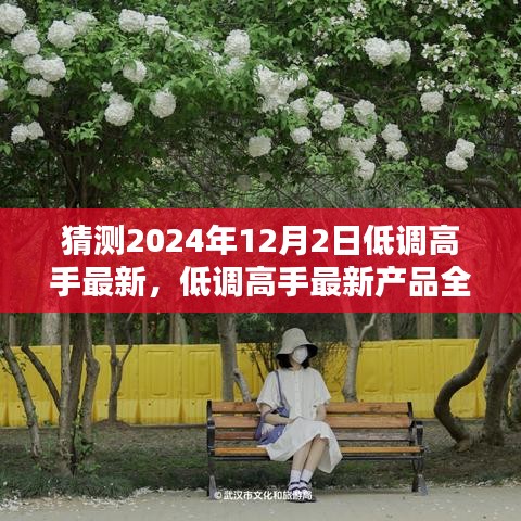 2024年低调高手最新产品全面解析，特性、体验、竞品对比及用户分析