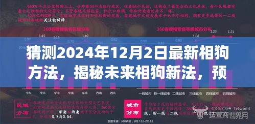 乌鸟私情 第5页