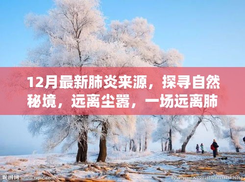 探寻自然秘境，远离尘嚣肺炎阴霾，一场奇妙的旅行之旅