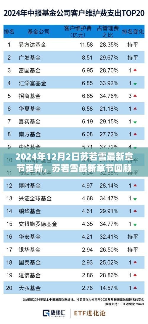 苏若雪最新章节回顾与深度解析，背景、事件与影响分析（2024年）