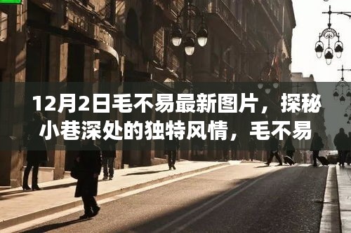 毛不易最新图片揭秘，探秘小巷风情，粉丝打卡新地标——特色小店之旅（12月2日）