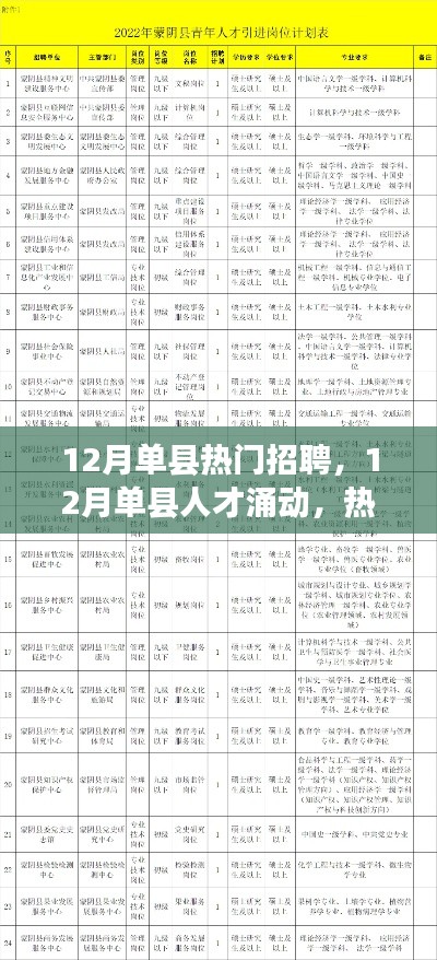 12月单县招聘热潮，人才涌动与影响分析