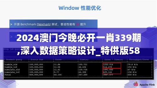 2024澳门今晚必开一肖339期,深入数据策略设计_特供版58.205-4