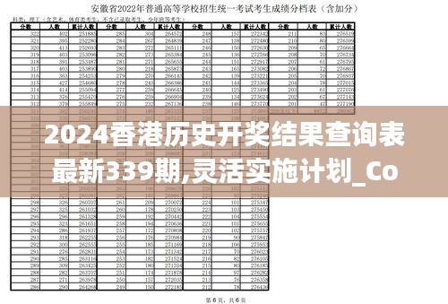 2024香港历史开奖结果查询表最新339期,灵活实施计划_Console32.988-4