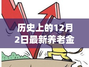 历史上的12月2日养老金上调政策深度解读与体验分享，政策评析与最新消息