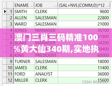 澳门三肖三码精准100%黄大仙340期,实地执行分析数据_标配版91.494-3