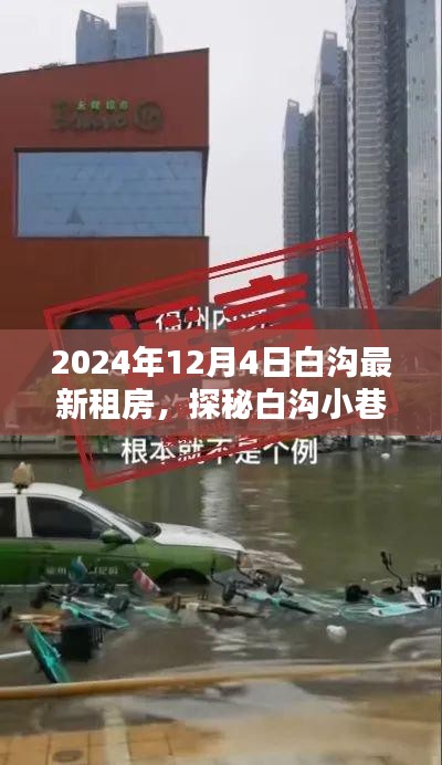 探秘白沟小巷，揭秘租房新宠的独特环境与惊喜体验（2024年12月4日）