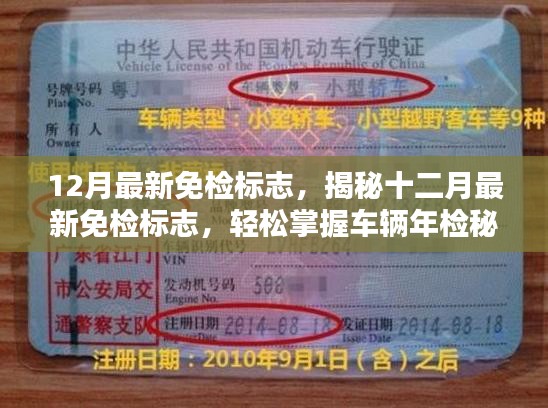 揭秘十二月最新免检标志，掌握车辆年检秘籍，轻松申领免检标志！
