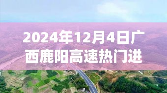广西鹿阳高速建设里程碑纪实，2024年12月4日最新进展揭秘
