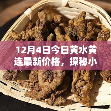 探秘小巷深处的黄水黄连宝藏店，最新价格大揭秘！