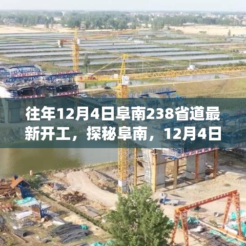 阜南238省道新启程，隐秘美食宝藏探寻之旅