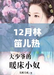 林笛儿热门小说摘星3文学魅力与争议焦点深度探讨