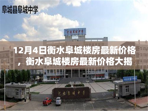 衡水阜城楼房最新价格揭秘，热门楼盘价格大公开，小红书带你了解最新行情