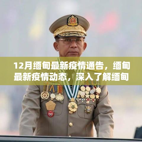 深入了解，缅甸十二月最新疫情动态与通告