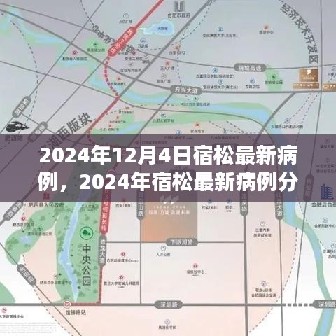 2024年宿松最新病例分析与观点阐述