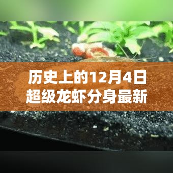 历史上的十二月四日，超级龙虾分身最新章节揭秘