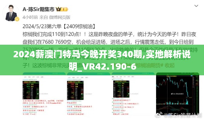 2024薪澳门特马今晚开奖340期,实地解析说明_VR42.190-6