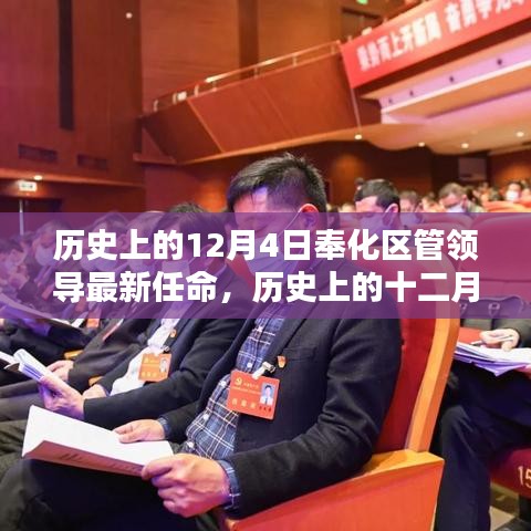 奉化区领导最新任命揭晓，历史性的十二月四日新篇章开启
