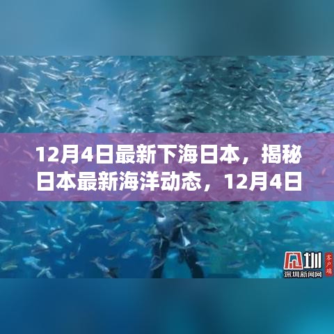 揭秘日本最新海洋动态，12月4日观察报告全解析