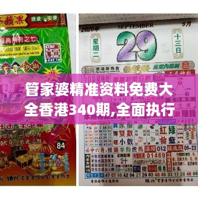 管家婆精准资料免费大全香港340期,全面执行数据计划_专家版93.944-8