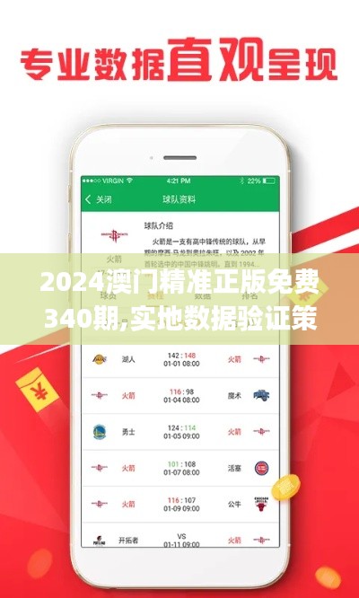 2024澳门精准正版免费340期,实地数据验证策略_免费版152.939-1