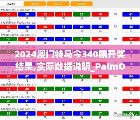 2024澳门特马今340期开奖结果,实际数据说明_PalmOS77.838-3