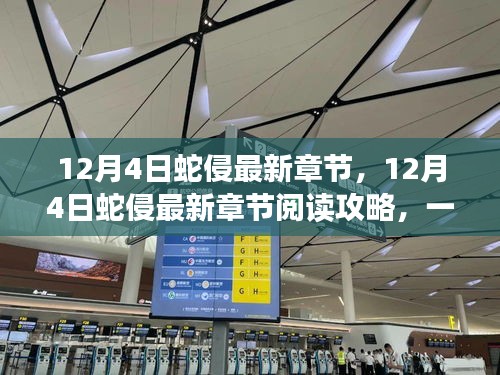 12月4日蛇侵最新章节获取与阅读攻略，轻松掌握最新动态