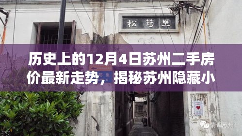 历史与现实交融之旅，苏州二手房价走势揭秘与特色小巷探寻故事分享