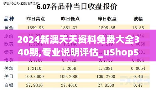 2024新澳天天资料免费大全340期,专业说明评估_uShop5.929-2