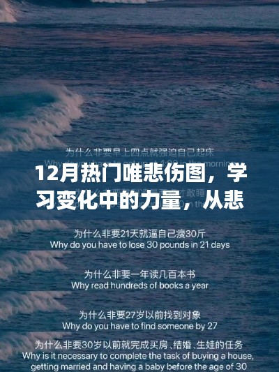 从悲伤图汲取力量，励志十二月，悲伤转化为自信之路