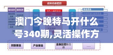 澳门今晚特马开什么号340期,灵活操作方案设计_超级版34.148-9