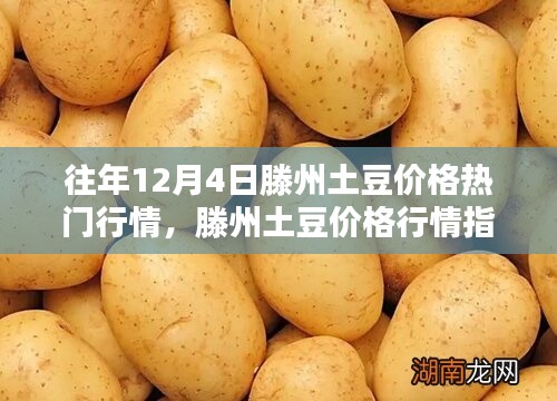 滕州土豆行情揭秘，往年12月4日价格走势与行情指南查询理解方法