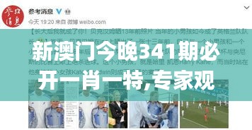 新澳门今晚341期必开一肖一特,专家观点说明_7DM110.540