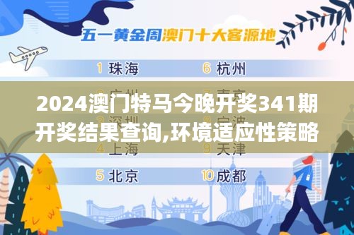 2024澳门特马今晚开奖341期开奖结果查询,环境适应性策略应用_完整版4.335
