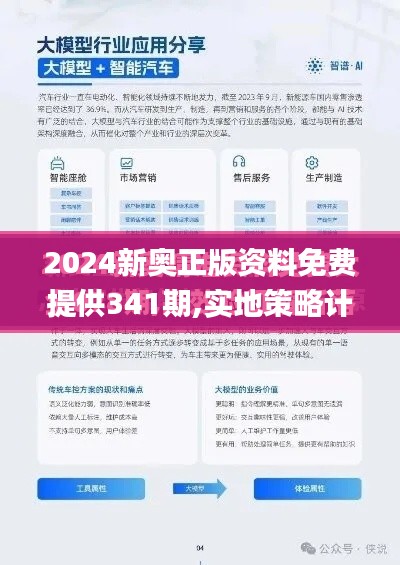 2024新奥正版资料免费提供341期,实地策略计划验证_5DM4.110