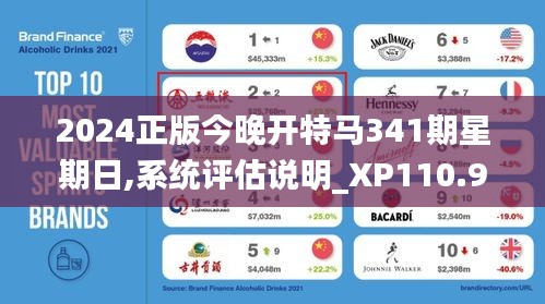 2024正版今晚开特马341期星期日,系统评估说明_XP110.950