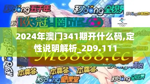 2024年澳门341期开什么码,定性说明解析_2D9.111