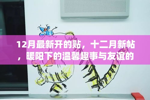 十二月新帖，暖阳下的温馨趣事与友谊织锦的绚烂篇章