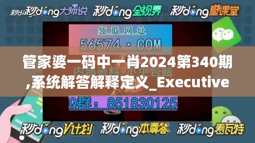 管家婆一码中一肖2024第340期,系统解答解释定义_Executive11.561