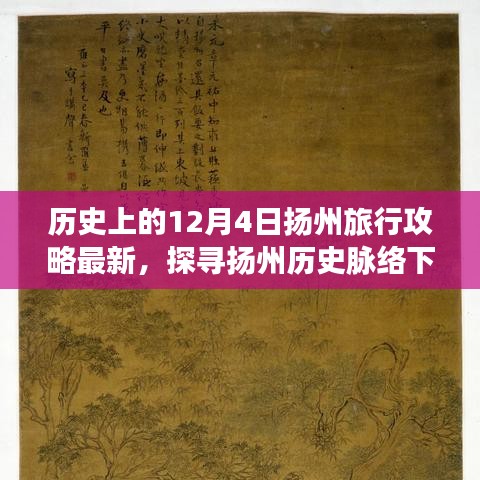 探寻扬州历史脉络下的旅行攻略，以独特视角体验扬州的冬季魅力——12月4日最新攻略