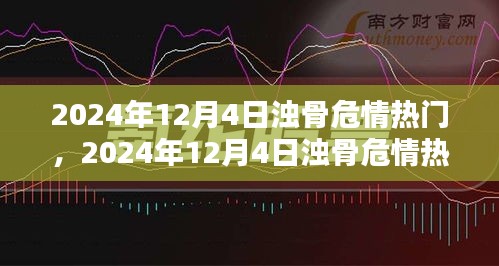 2024年12月4日浊骨危情热门解析