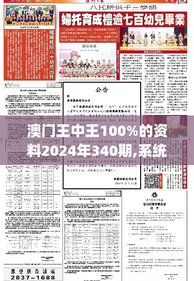 澳门王中王100%的资料2024年340期,系统化推进策略探讨_Tizen5.295