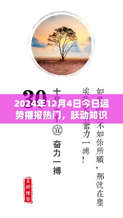 跃动知识海洋，自信成就未来，2024年12月4日运势播报与励志分享