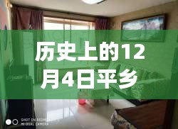 探寻平乡租房信息变迁，历史上的十二月四日回顾与最新动态