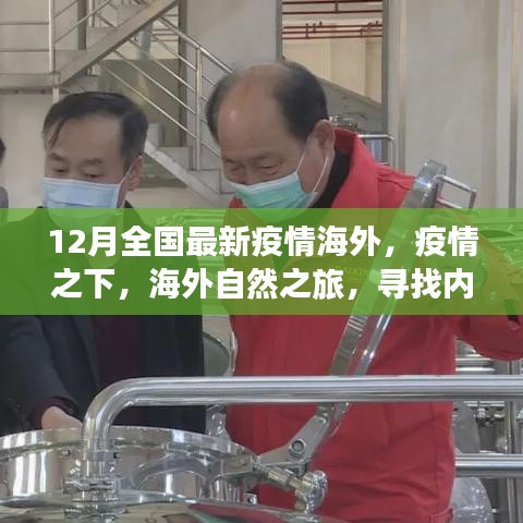 疫情之下海外自然之旅，寻找内心的宁静与平和——最新疫情海外动态解析（12月版）