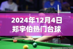 郑宇伯台球盛宴，深度解析与体验评测，预测2024年热门台球比赛精彩瞬间