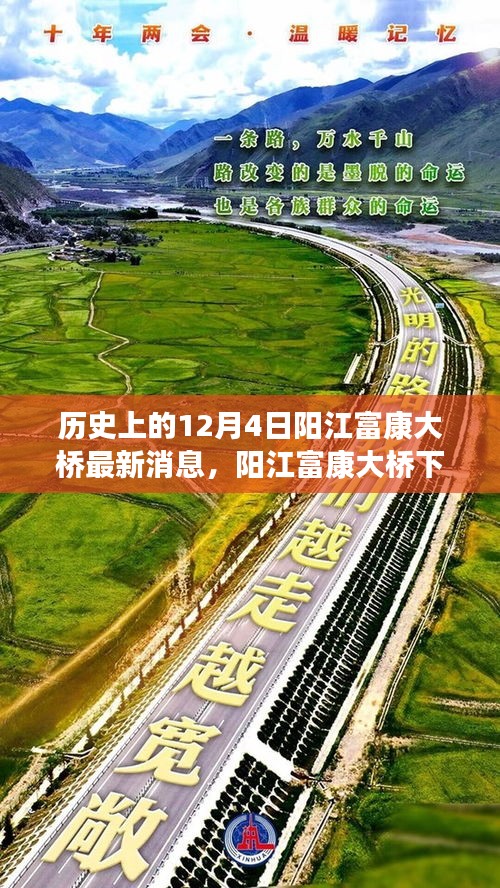 阳江富康大桥下的友谊与陪伴，12月4日的温馨故事